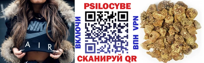 дарнет шоп Елизаветинская Псилоцибиновые грибы мухоморы
