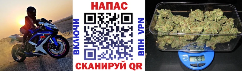 Бошки марихуана AK-47 Елизаветинская