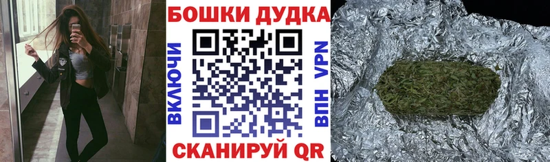 Бошки Шишки план  Елизаветинская 